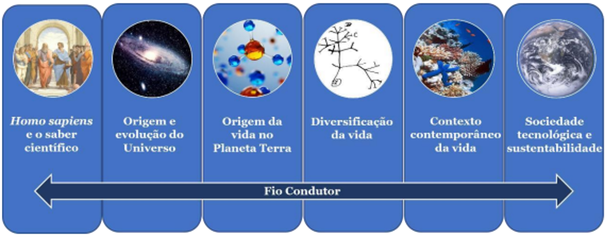 Fio condutor