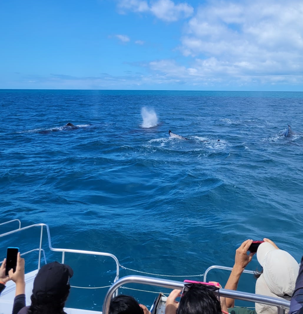 Abrolhos.jpg