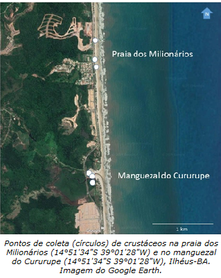 localização google