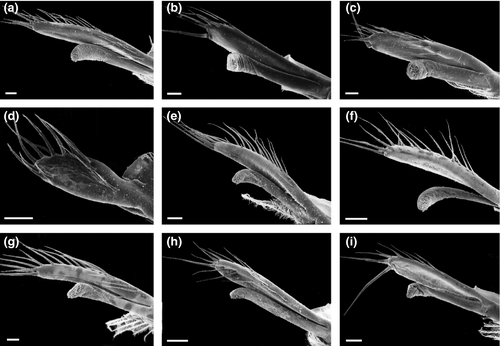 zsc12394 fig 0006 m