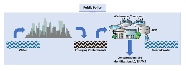 grafico wetlands