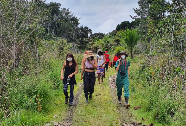 trabalho de campo